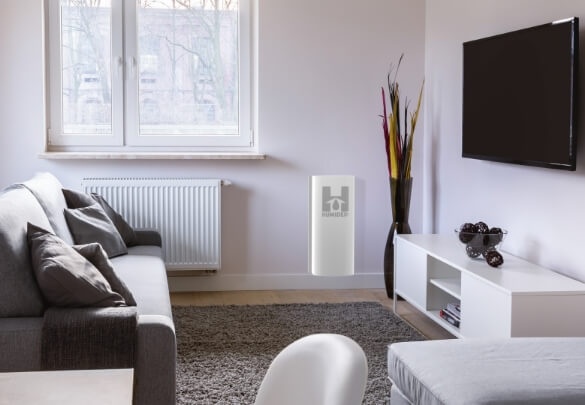 Apartment Image 1